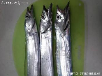 太刀魚-2012-3-8 22:3