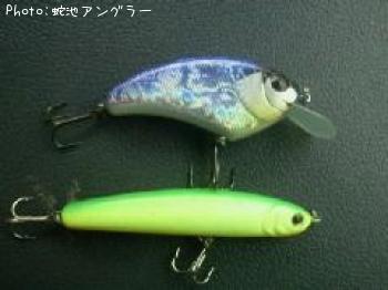 写真