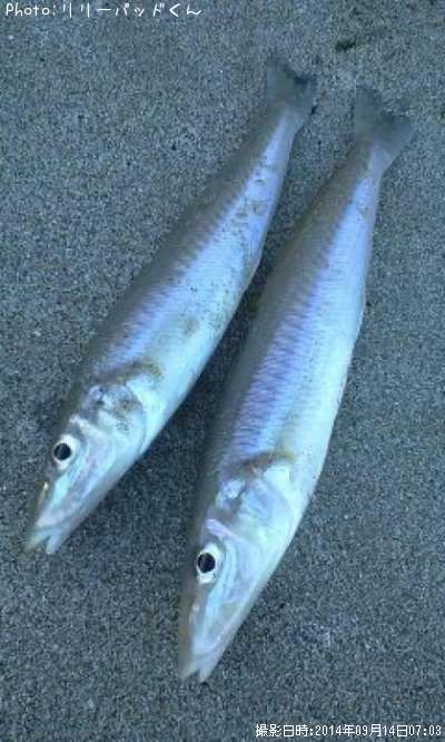 砂浜でのトキメキ最高潮~♪