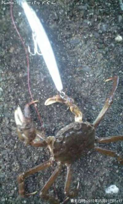 上海のカニ道楽