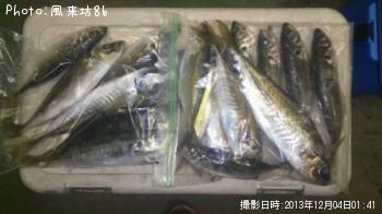 アジ-2013-12-4 1:41