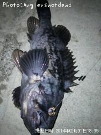 クロソイ-2014-2-1 18:35