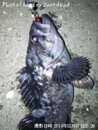 クロソイ-2014-2-1 20:29