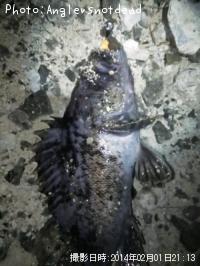 クロソイ-2014-2-1 21:13