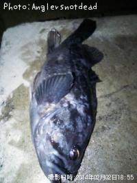 クロソイ-2014-2-2 18:55