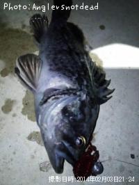 クロソイ-2014-2-3 21:24