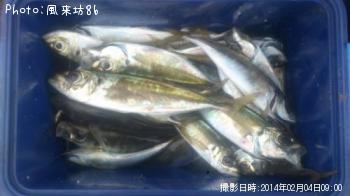 アジ-2014-2-4 9:0