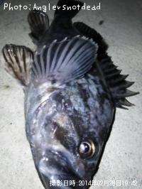 クロソイ-2014-2-28 19:42