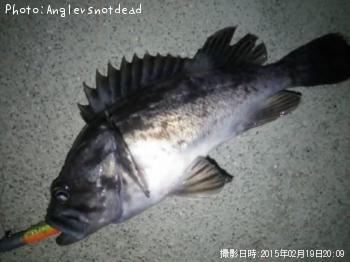 クロソイ-2015-2-19 20:9