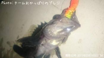 クロソイ