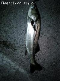 SeaBass-2006-10-4 18:52