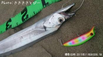 サーフ太刀魚＆グーフー-2015-11-8 6:58