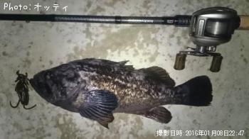 クロソイ-2016-1-8 22:47