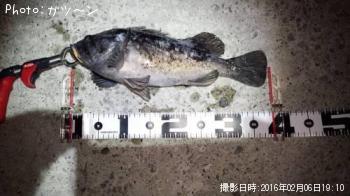 クロソイ-2016-2-6&nbsp;19:10