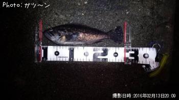 クロソイ-2016-2-13&nbsp;20:9