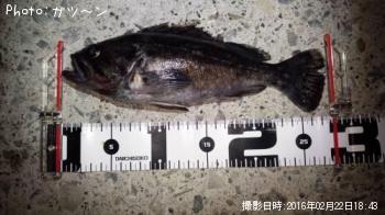 クロソイ-2016-2-22&nbsp;18:43