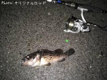 クロソイ-2016-8-23 22:40