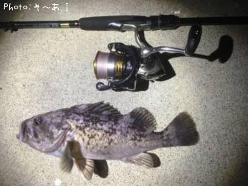 クロソイ-2016-8-28 0:28