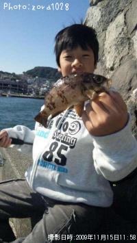 メバル-2009-11-15 11:58