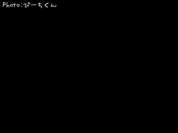 カマス-2016-12-9 7:0