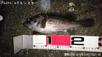 クロソイ-2016-12-17 21:9