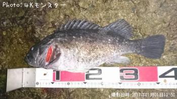 クロソイ-2017-1-1 19:50