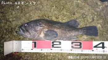 クロソイ-2017-1-2 20:3