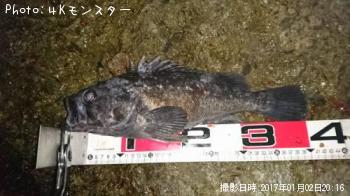 クロソイ-2017-1-2 20:16