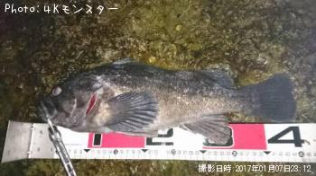 クロソイ-2017-1-7 23:12