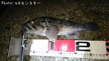 クロソイ-2017-1-19 19:41