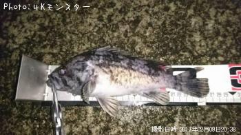 クロソイ-2017-2-9 20:38