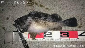 クロソイ-2017-2-11 19:42