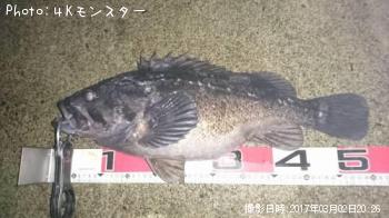 クロソイ-2017-3-2 20:26