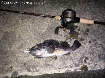 クロソイ-2017-6-5 20:53