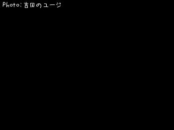 マゴチ-2017-7-17 11:42