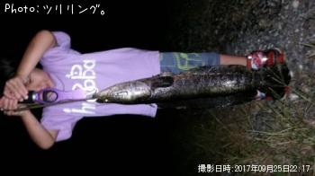 雷魚-2017-9-25 22:14