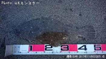 ヒラメ-2017-11-2 5:42