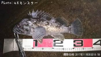 クロソイ-2017-11-30 19:59