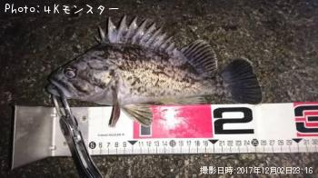 クロソイ-2017-12-2 23:16