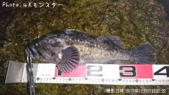 クロソイ-2017-12-7 20:22