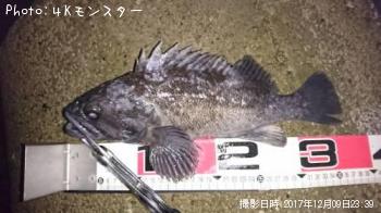 クロソイ-2017-12-9 23:39
