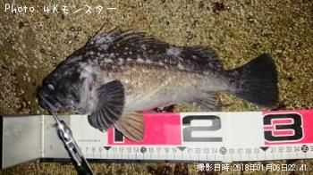 クロソイ-2018-1-6 22:41