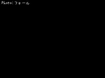 シーバス-2018-2-3 21:3