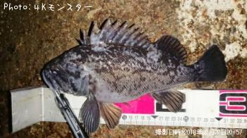 クロソイ-2018-2-22 20:57