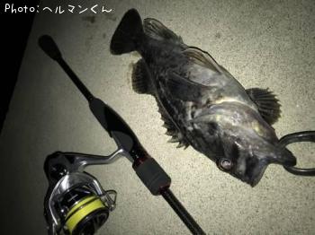 クロソイ-2018-3-30 20:45