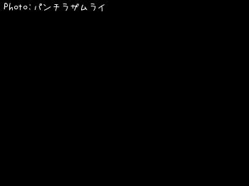 シーバス-2018-6-24 17:44