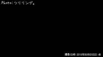 ブラックバス-2018-8-3 22:48