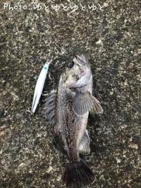 クロソイ