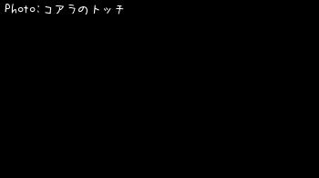 ヒラメ-2018-11-7 8:40