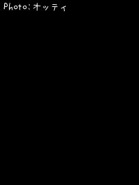 メバル-2019-4-8 22:44